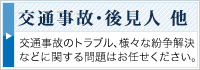 交通事故・後見人 他